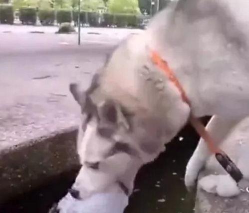 吃瓜喷出来,揭秘娱乐圈风云变幻  第2张